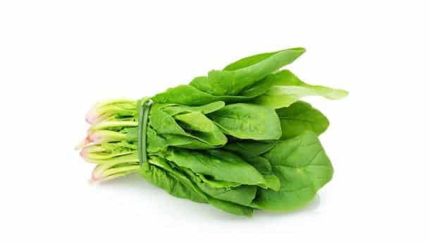 Spinach Boost Your Hair Growth faster Boost Your Hair Growth
